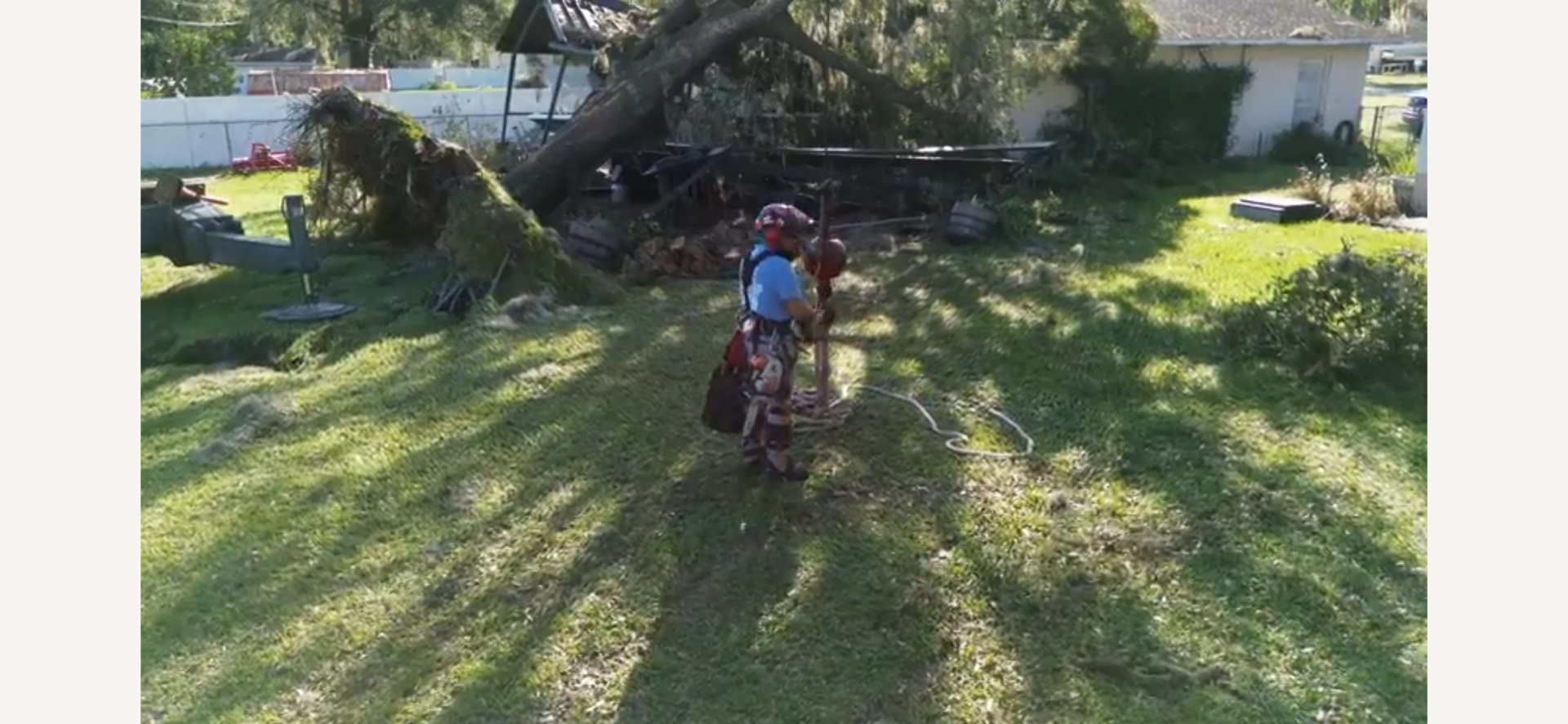 Alliance crew member clearing a fallen oak from a storm-hit backyard